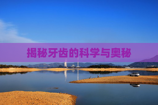 揭秘牙齿的科学与奥秘