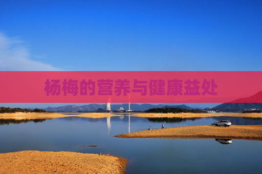 杨梅的营养与健康益处