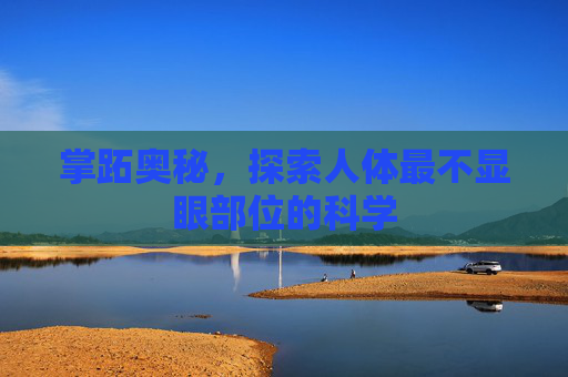 掌跖奥秘，探索人体最不显眼部位的科学