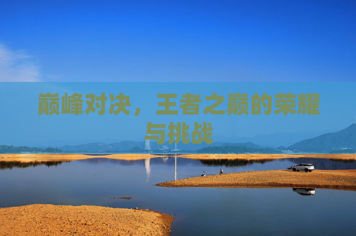巅峰对决，王者之巅的荣耀与挑战