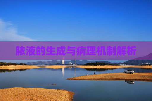 脓液的生成与病理机制解析