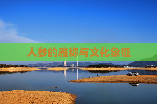 人参的雅称与文化象征