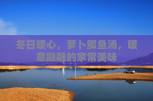 冬日暖心，萝卜鲫鱼汤，暖意融融的家常美味