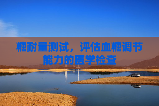糖耐量测试，评估血糖调节能力的医学检查