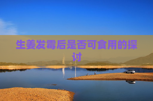 生姜发霉后是否可食用的探讨