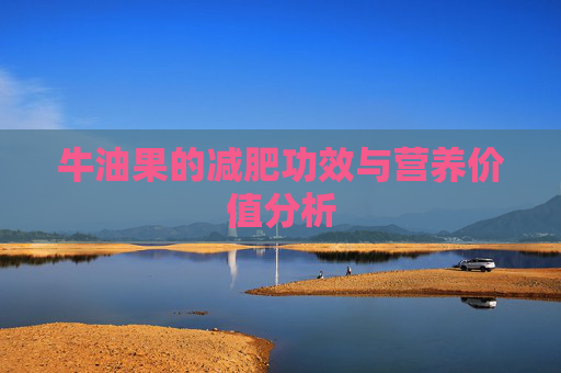 牛油果的减肥功效与营养价值分析