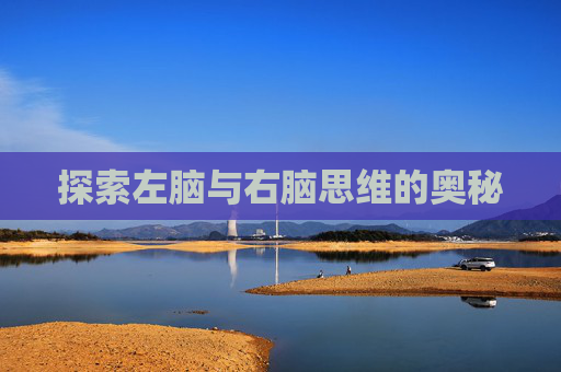 探索左脑与右脑思维的奥秘