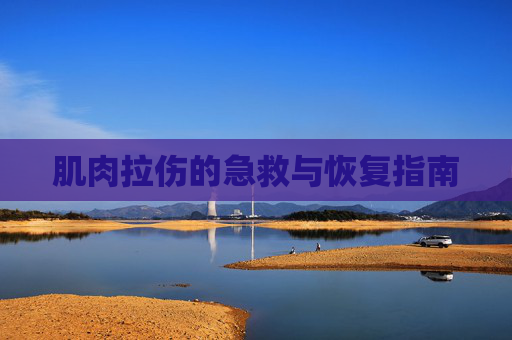 肌肉拉伤的急救与恢复指南