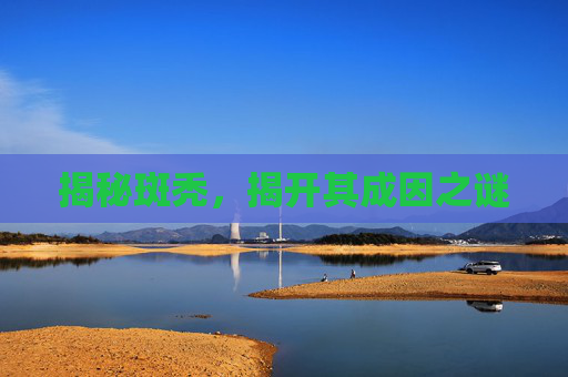 揭秘斑秃,揭开其成因之谜 揭秘斑秃,揭开其成因之谜