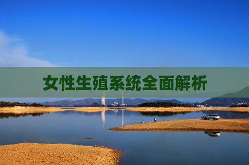 女性生殖系统全面解析