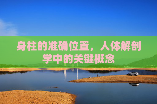 身柱的准确位置，人体解剖学中的关键概念