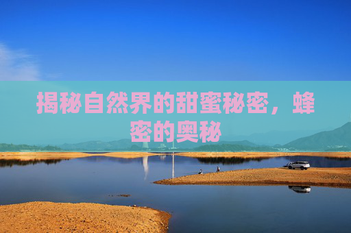 揭秘自然界的甜蜜秘密，蜂密的奥秘