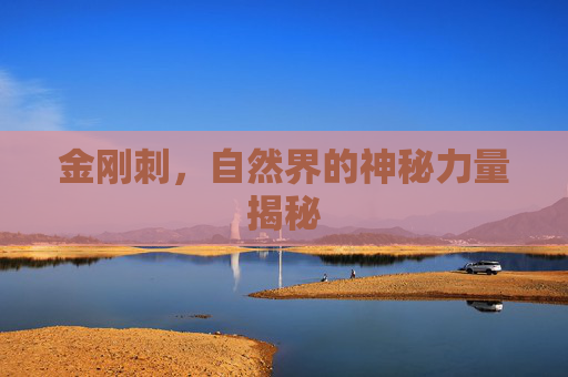金刚刺，自然界的神秘力量揭秘