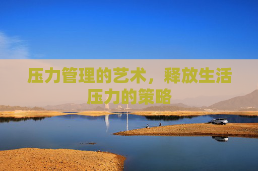 压力管理的艺术，释放生活压力的策略