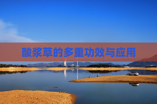 酸浆草的多重功效与应用 酸浆草的多重功效与应用