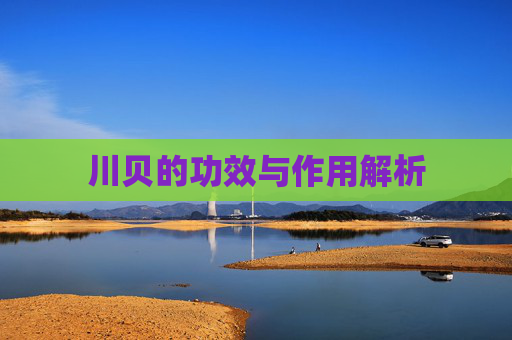 川贝的功效与作用解析