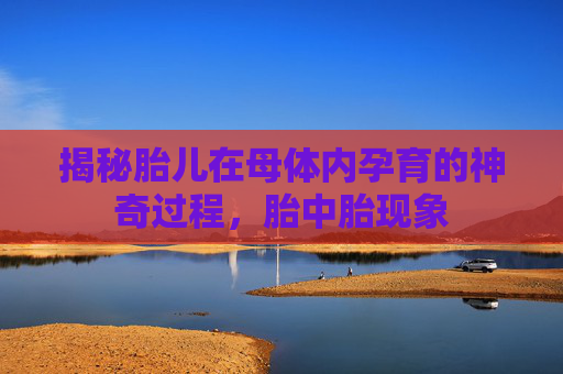 揭秘胎儿在母体内孕育的神奇过程，胎中胎现象