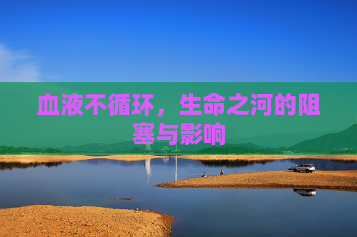 血液不循环，生命之河的阻塞与影响