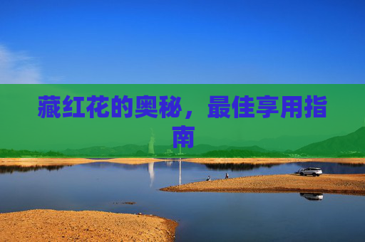 藏红花的奥秘，最佳享用指南