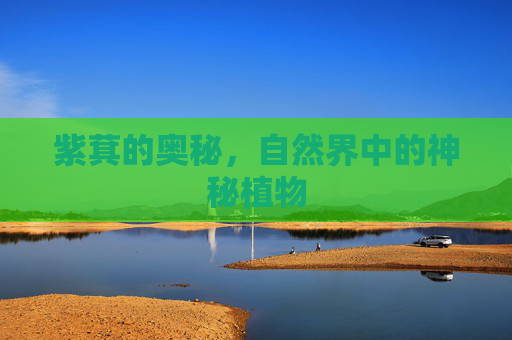 紫萁的奥秘，自然界中的神秘植物