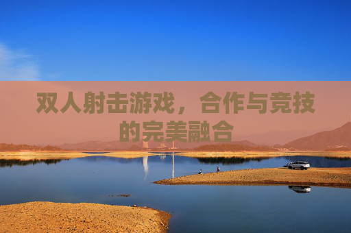 双人射击游戏，合作与竞技的完美融合