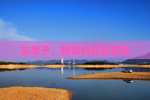 车厘子,甜蜜的营养宝藏 车厘子,甜蜜的营养宝藏