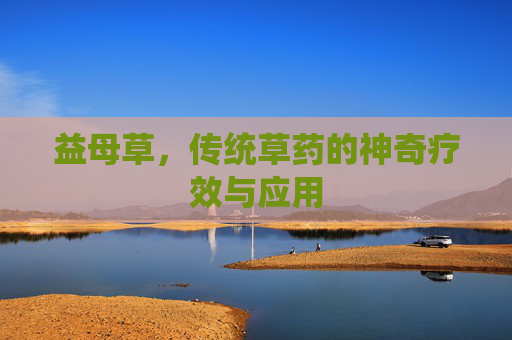 益母草，传统草药的神奇疗效与应用