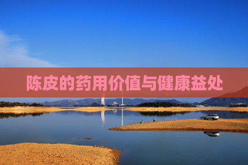 陈皮的药用价值与健康益处