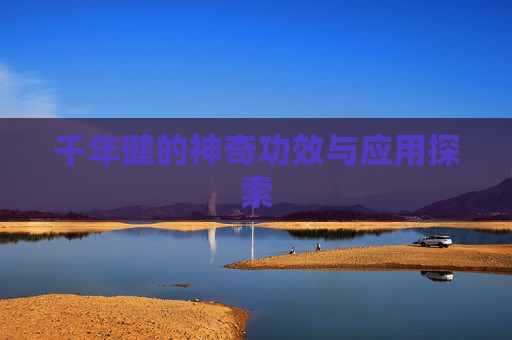 千年健的神奇功效与应用探索