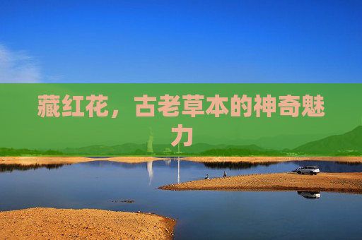 藏红花，古老草本的神奇魅力