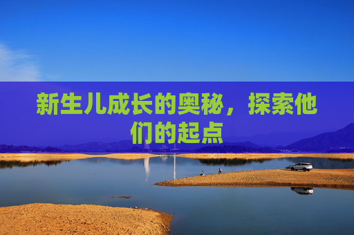 新生儿成长的奥秘，探索他们的起点