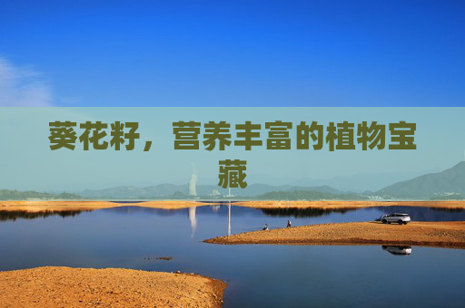 葵花籽，营养丰富的植物宝藏