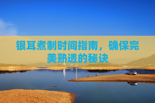 银耳煮制时间指南，确保完美熟透的秘诀