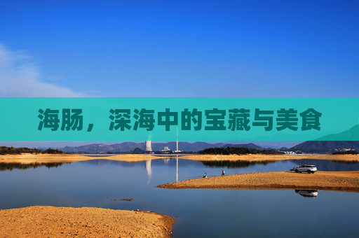 海肠，深海中的宝藏与美食
