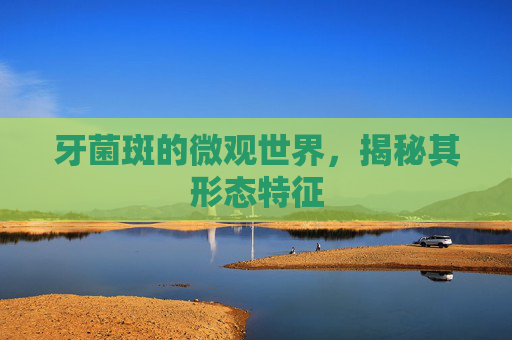 牙菌斑的微观世界，揭秘其形态特征