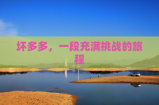 坏多多，一段充满挑战的旅程