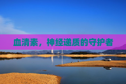 血清素，神经递质的守护者