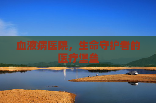 血液病医院，生命守护者的医疗堡垒