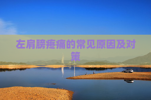 左肩膀疼痛的常见原因及对策