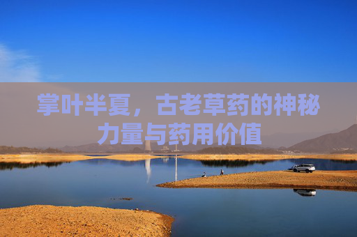 掌叶半夏，古老草药的神秘力量与药用价值