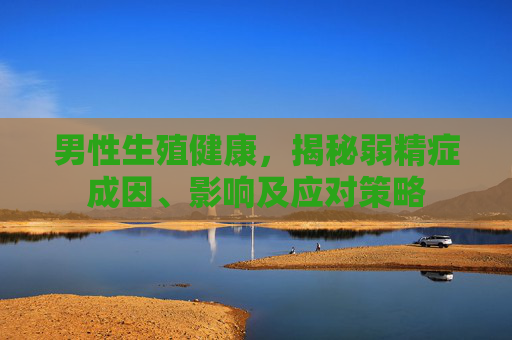 男性生殖健康，揭秘弱精症成因、影响及应对策略