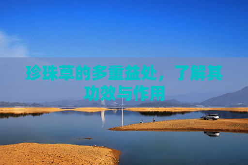 珍珠草的多重益处，了解其功效与作用