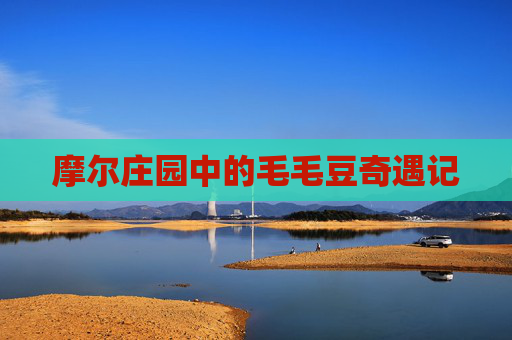 摩尔庄园中的毛毛豆奇遇记