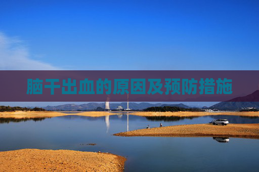 脑干出血的原因及预防措施