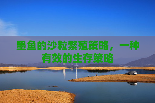 墨鱼的沙粒繁殖策略，一种有效的生存策略