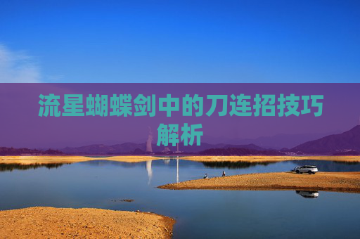 流星蝴蝶剑中的刀连招技巧解析