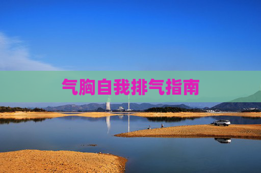 气胸自我排气指南