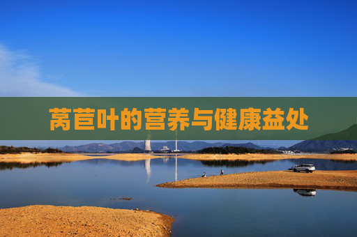 莴苣叶的营养与健康益处