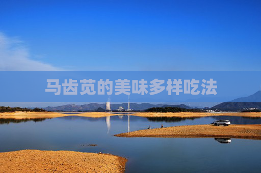 马齿苋的美味多样吃法