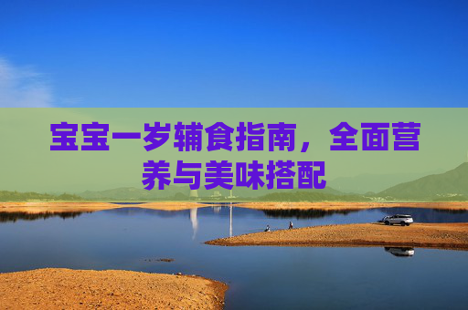 宝宝一岁辅食指南,全面营养与美味搭配 宝宝一岁辅食指南,全面营养与美味搭配